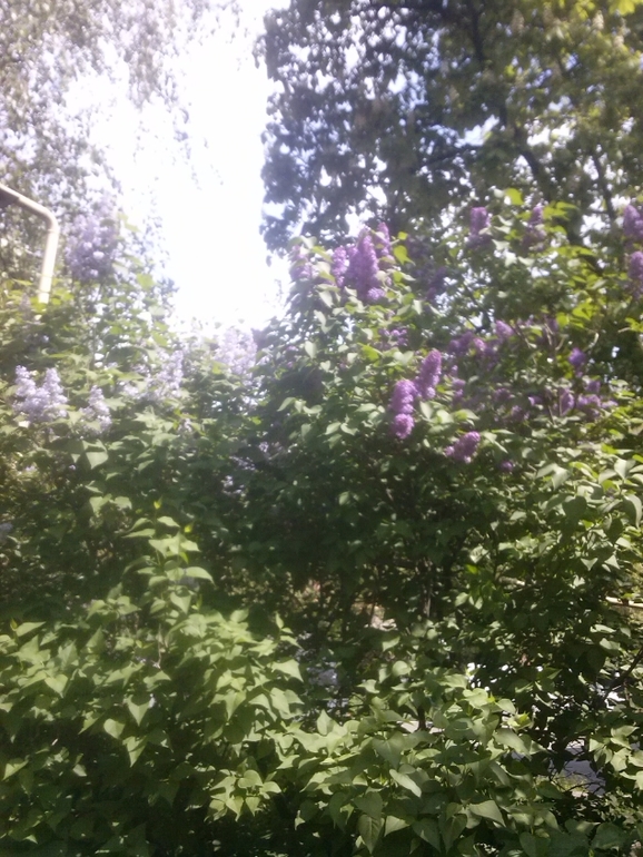 Скоро лето)))