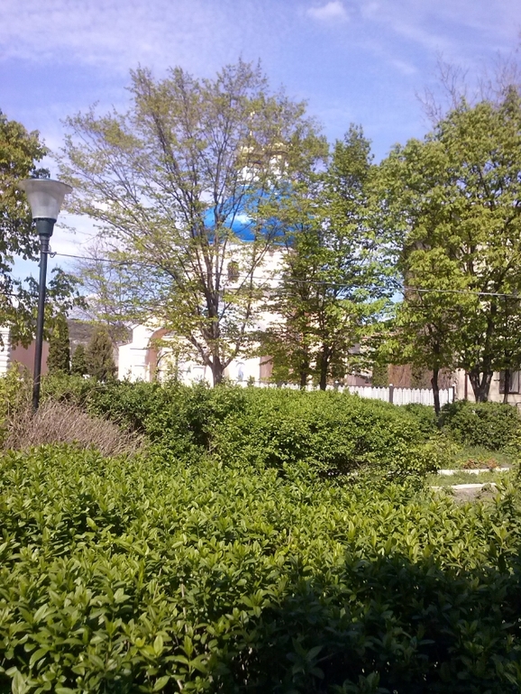 Делюсь теплом весенним:)