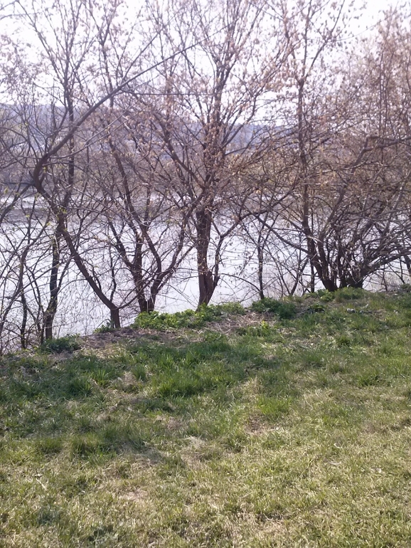 Весна наступает)))