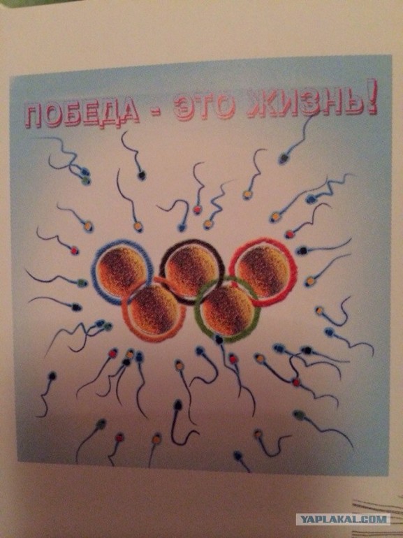 Порадовало в предверии олимпийских игр!
