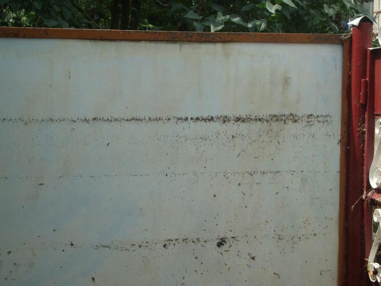 Наводнение у нас дома и на улице