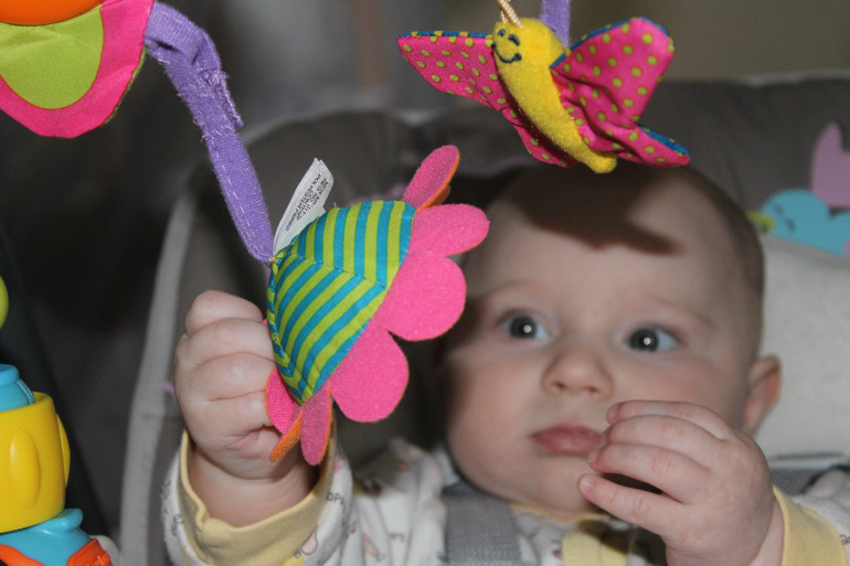 Наши гаджеты