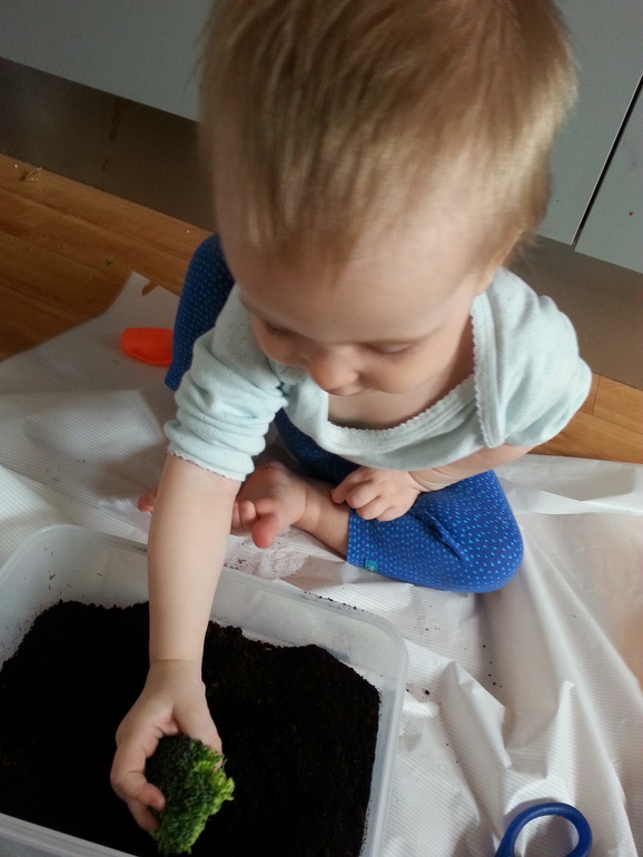 ФМ "Овощи для малышей"-день 1 огородный