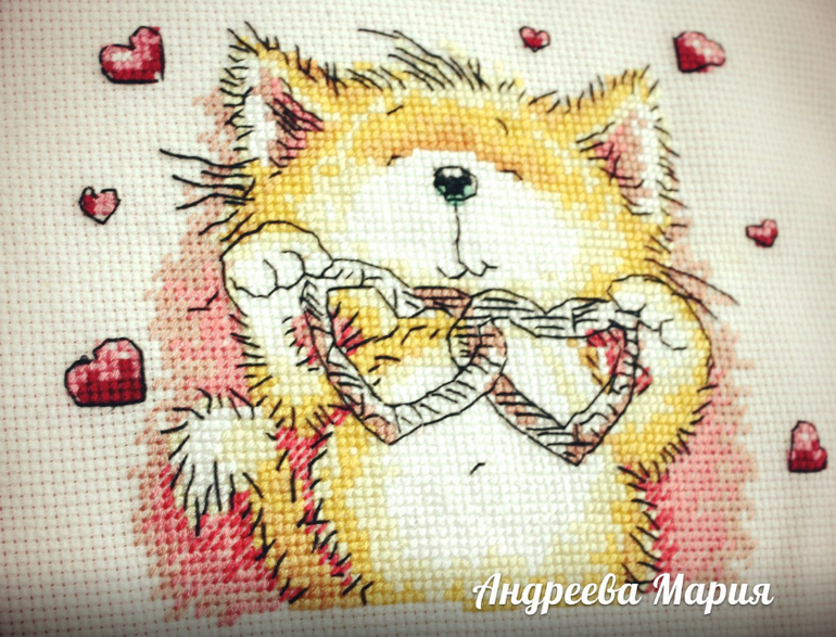 Подушечка))))