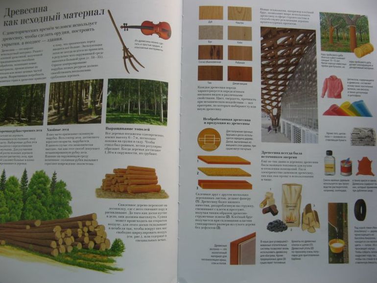 Большая книга о лесах и деревьях