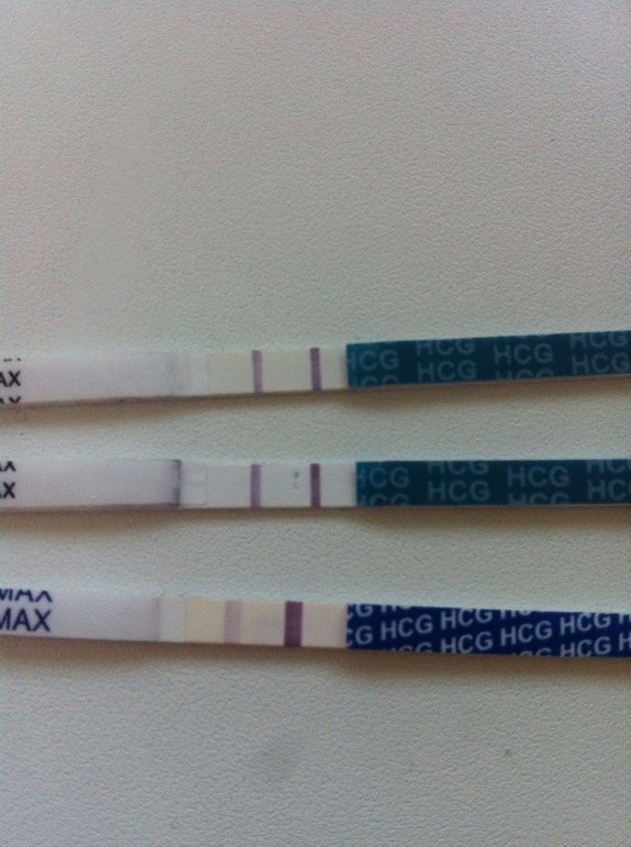 Эвик и Фрау