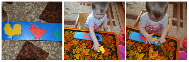 ТЗ Курица, петух, цыпленок