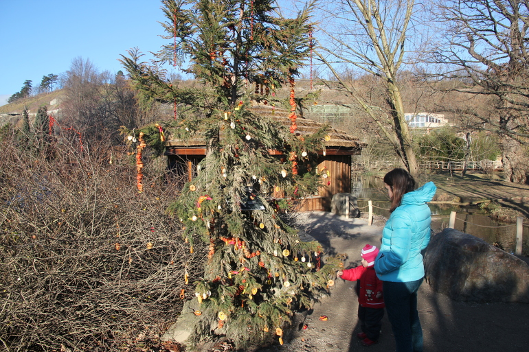 Пражские каникулы