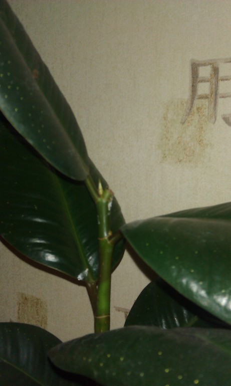 Загляните сюда))