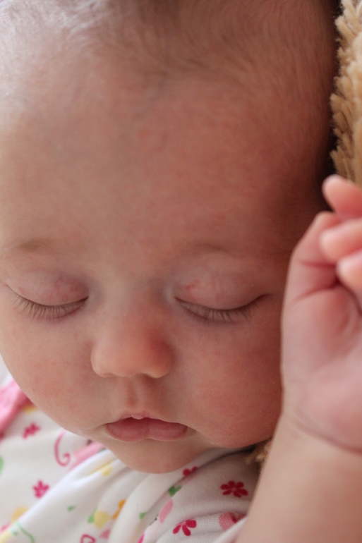 Хомяку 2 месяца