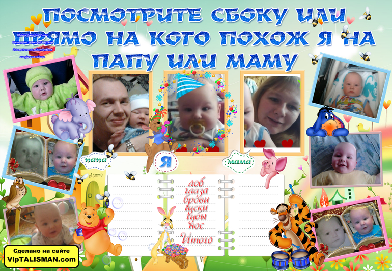 спор