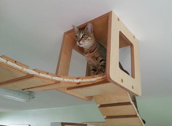 Мебель для кошки