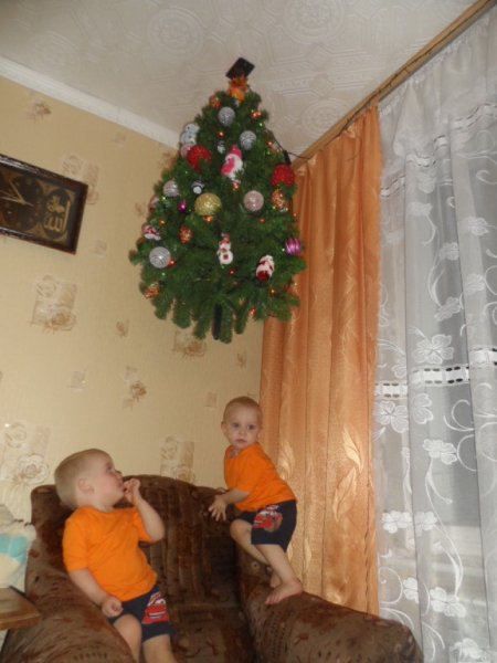 По следам НГ: вот он - самый безопасный способ поставить ёлку!