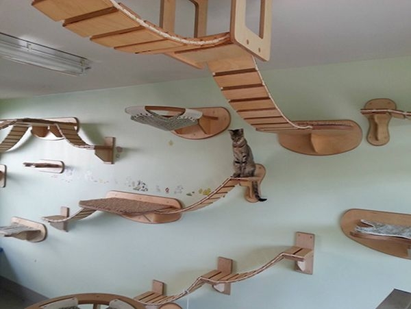 Мебель для кошки