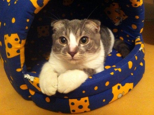 Наш смертник начал сбрасывать гранаты