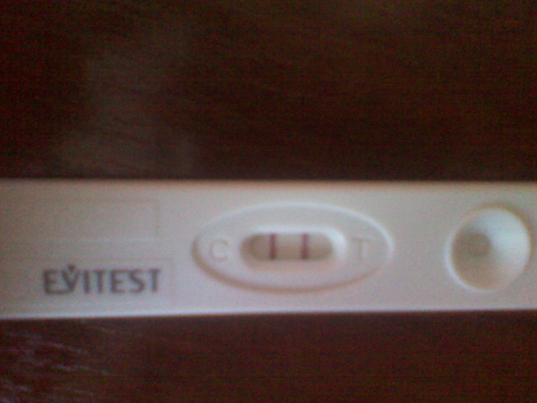 Мой тест, 1 ДЗ или день Х.