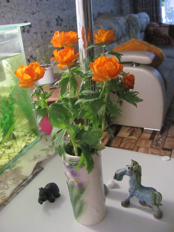 Немножко оранжевого настроения