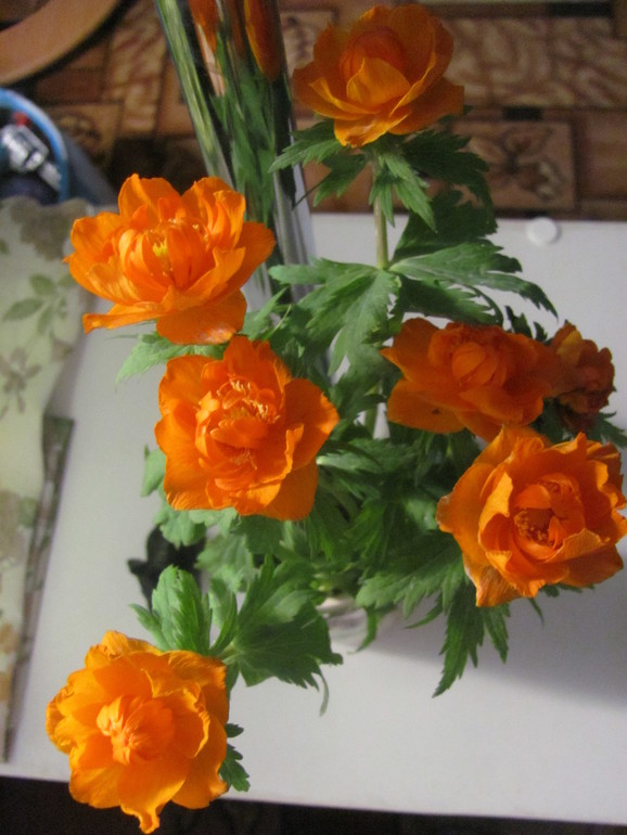 Немножко оранжевого настроения