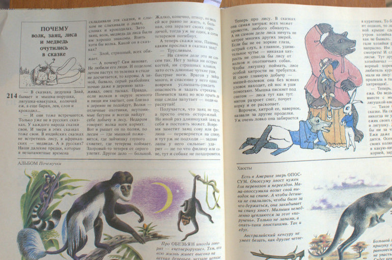 ТН "В лес". Кто живет в лесу