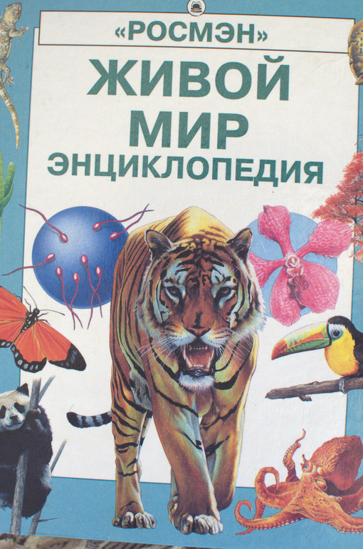 ТЗ "По дороге с облаками"