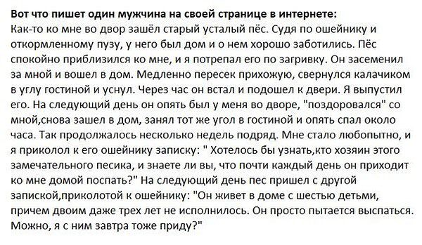 Просто посмеяться)))