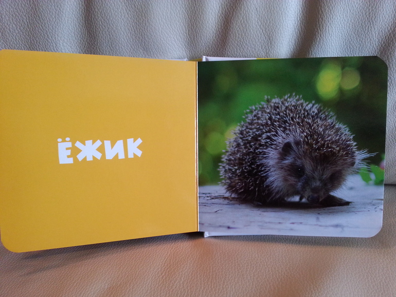 Воз и маленькая тележка. Часть 2.