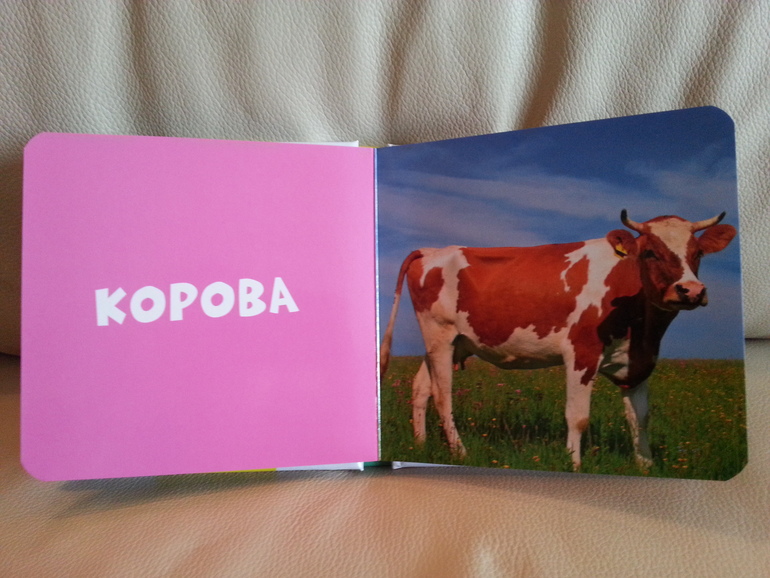 Воз и маленькая тележка. Часть 2.