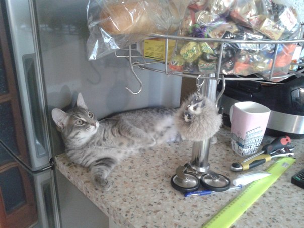 С возвращением нас!