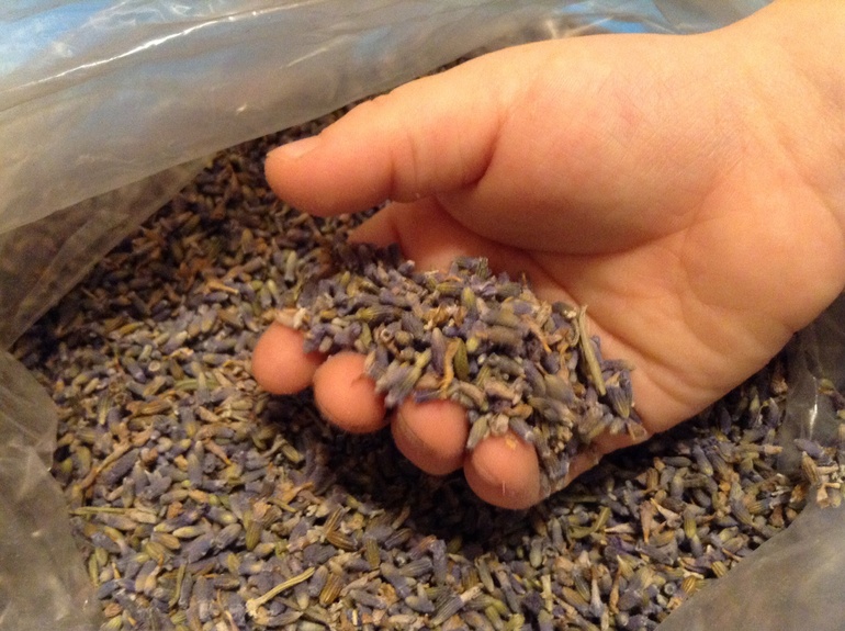 Путешествие во Францию