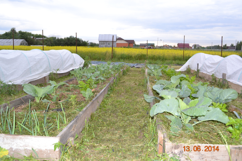 Хвалюшечки