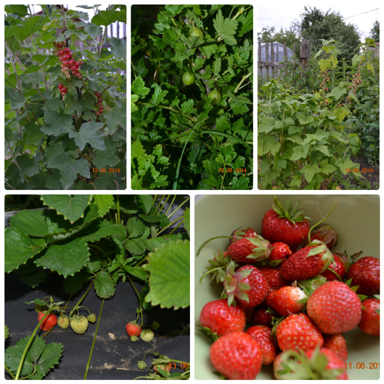 Хвалюшечки