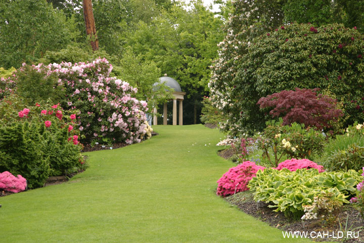 Садово0огородный марафон день 11