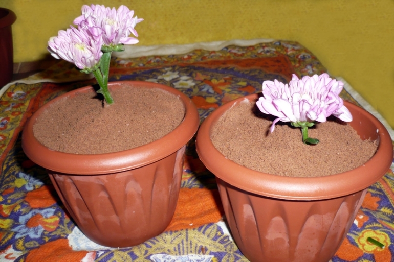 Стол на День рождения для моего сыночка)))