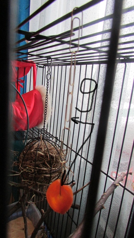 Белка ТИРЛЕ! Знакомьтесь!!!