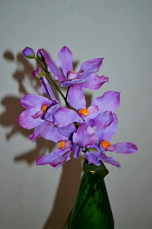 Орхидеи  ждут  свой тортик))))