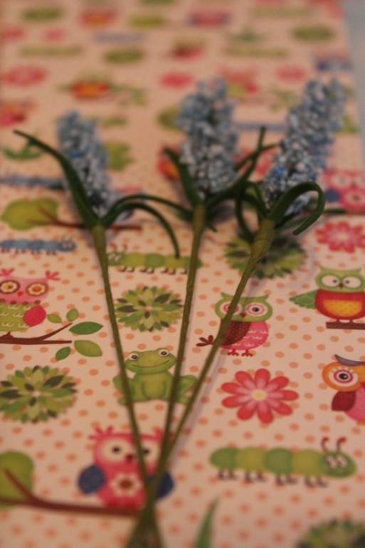 запасы хомяка