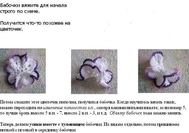 бабочки бабушки))))