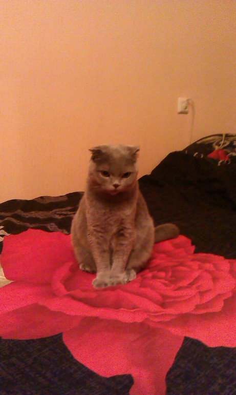 Ещё немного нашего Венченсоо!!!