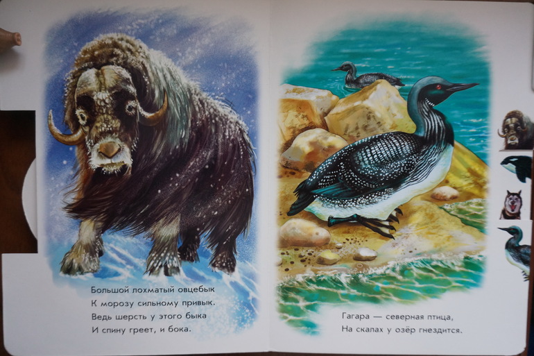 Наши первые книжки о животных