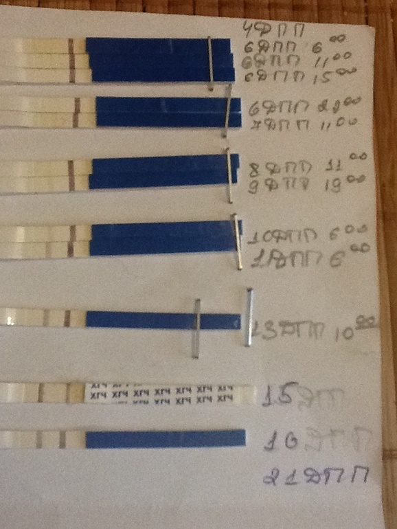 Динамика тестов