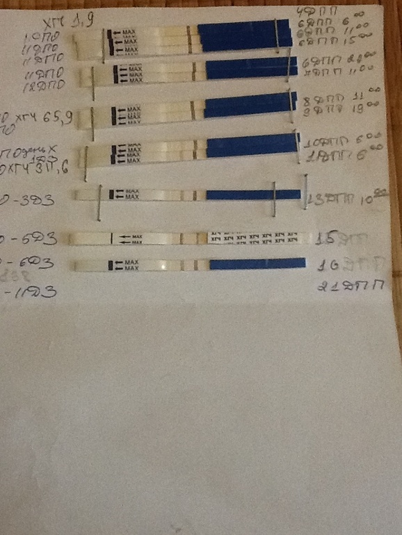 Динамика тестов