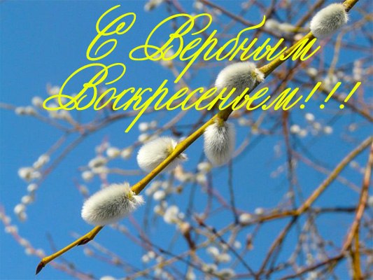 С Вербным Воскресеньем!