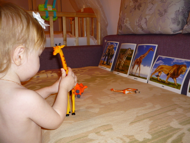 ТЗ "Танцующий жираф"