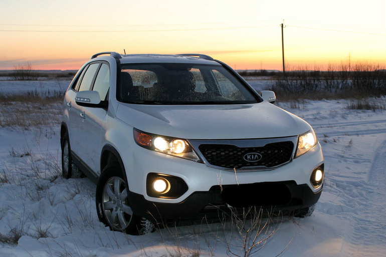 Наш новый член семьи