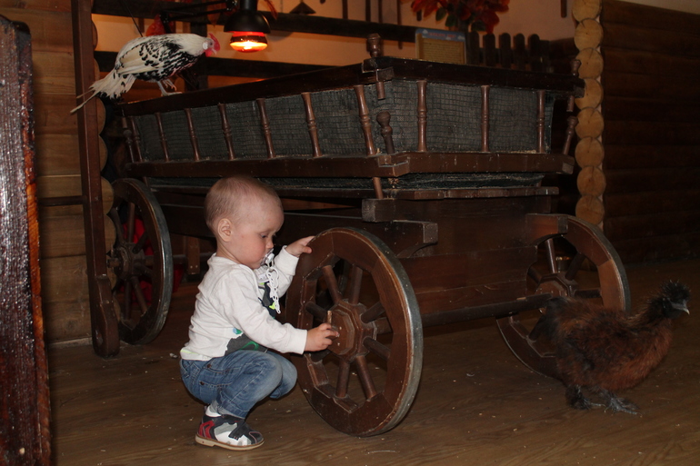 Двойняшки в зоопарке)))