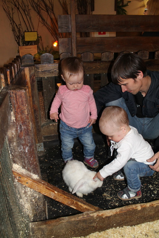 Двойняшки в зоопарке)))