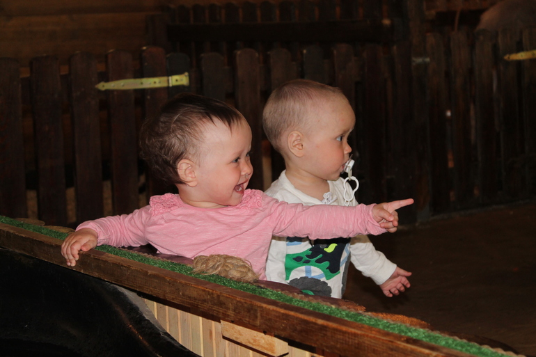 Двойняшки в зоопарке)))