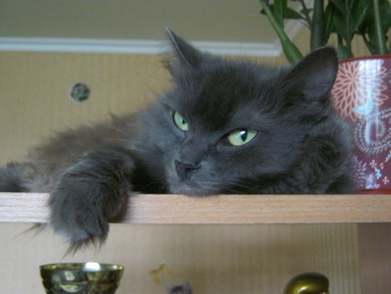 Моя старушка.