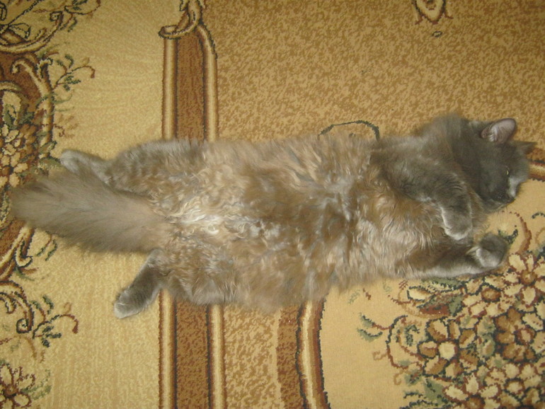 Моя старушка.