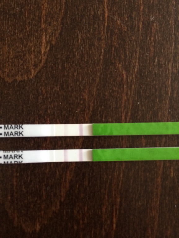 Это она? Моя овулька или нет?